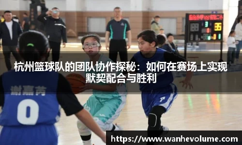 芒果体育官网入口